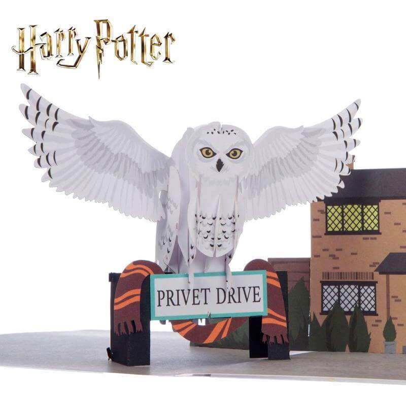 Hedwig Pop-Up Card  A Harry Potter Christmas from House of Spells