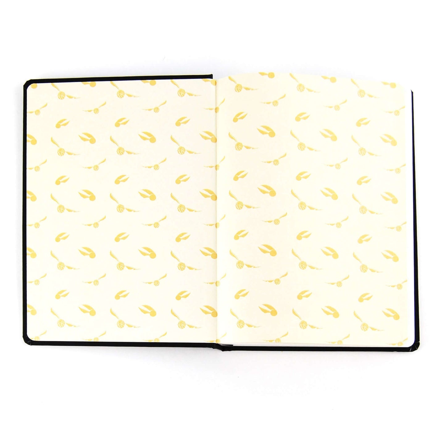 哈利波特 A5 笔记本-伏地魔