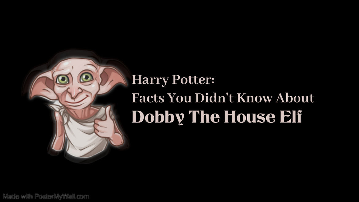 Harry Potter: Facts You Didn't Know About  Dobby The House Elf