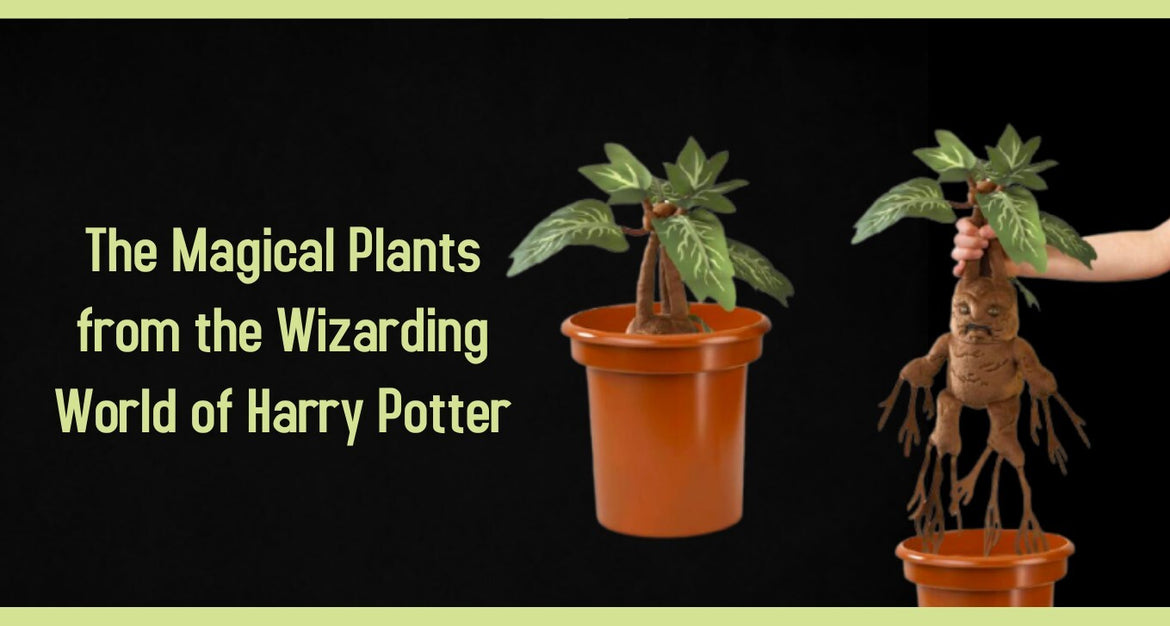 The Magical Plants From The Wizarding World Of Harry Potter