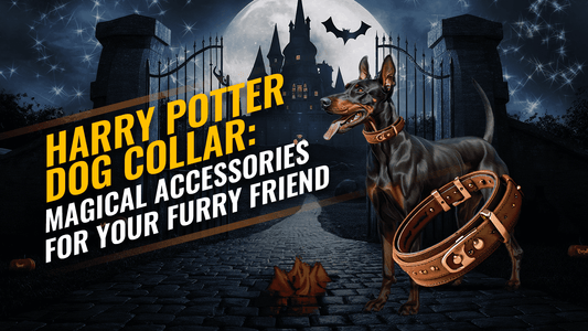 Harry Potter dog collar