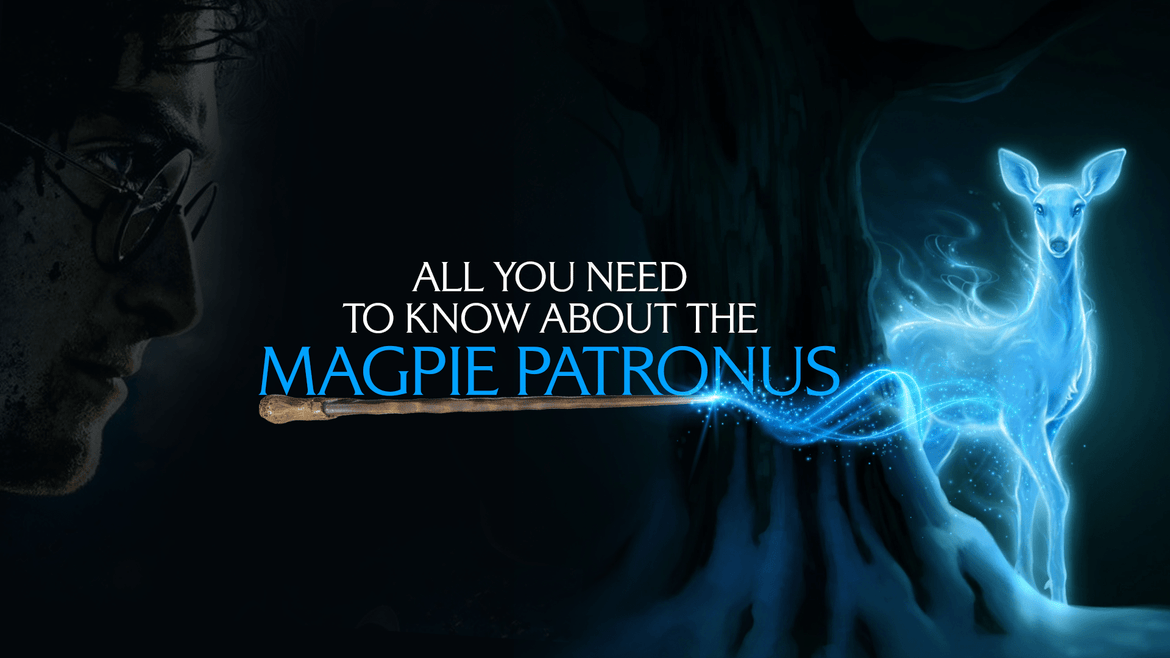 All You Need to Know about the Magpie Patronus