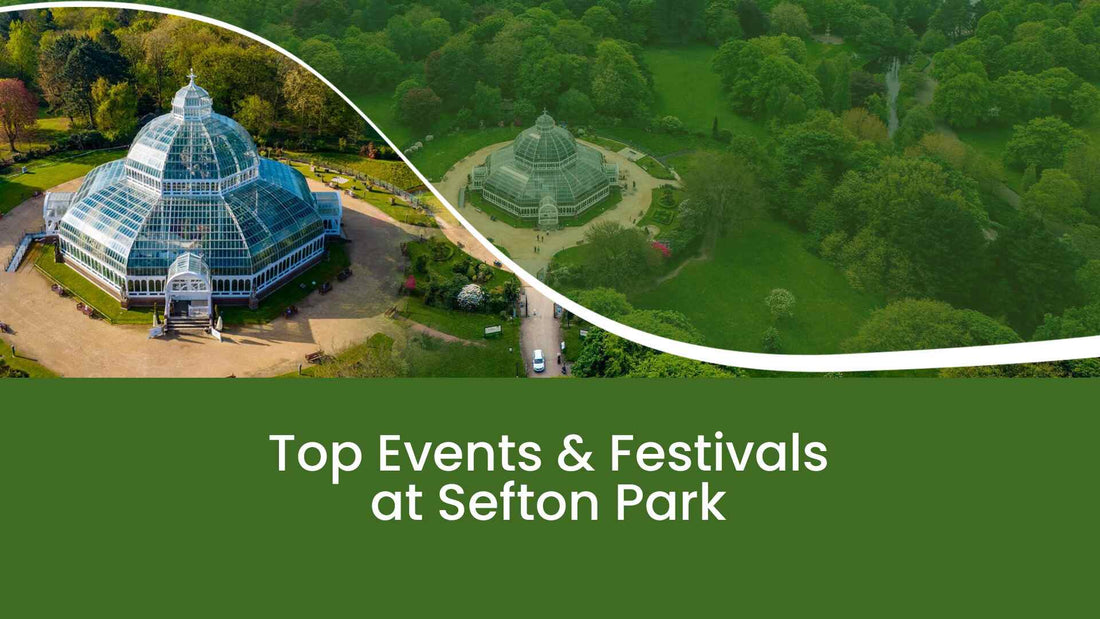 Events & Festivals at Sefton Park in Liverpool