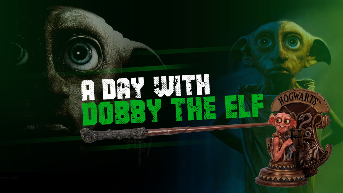 A Day with Dobby the Elf