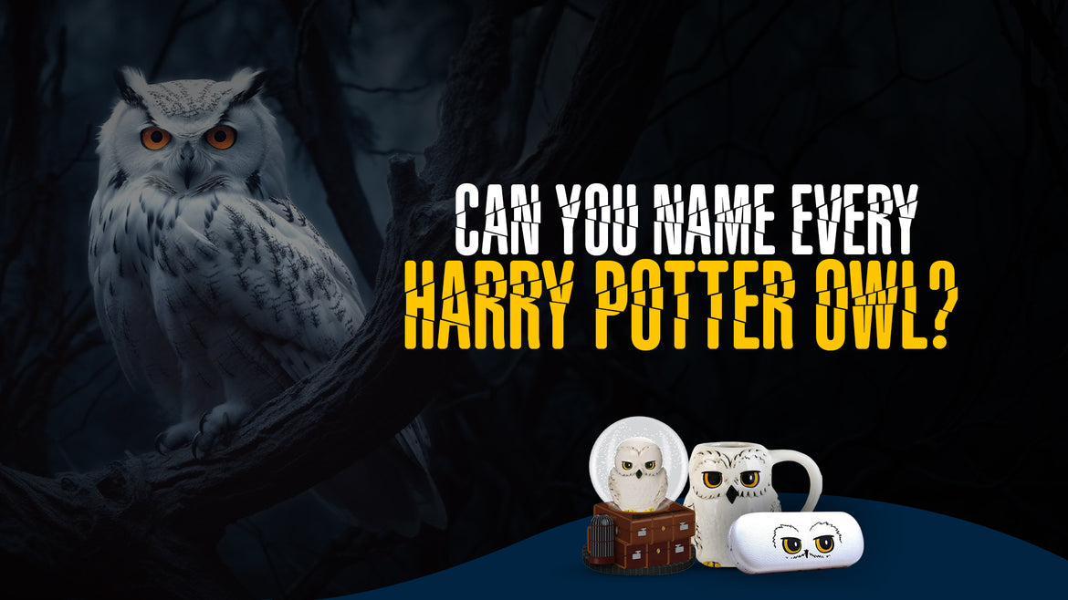 Can You Name Every Harry Potter Owl?