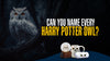 Can You Name Every Harry Potter Owl?