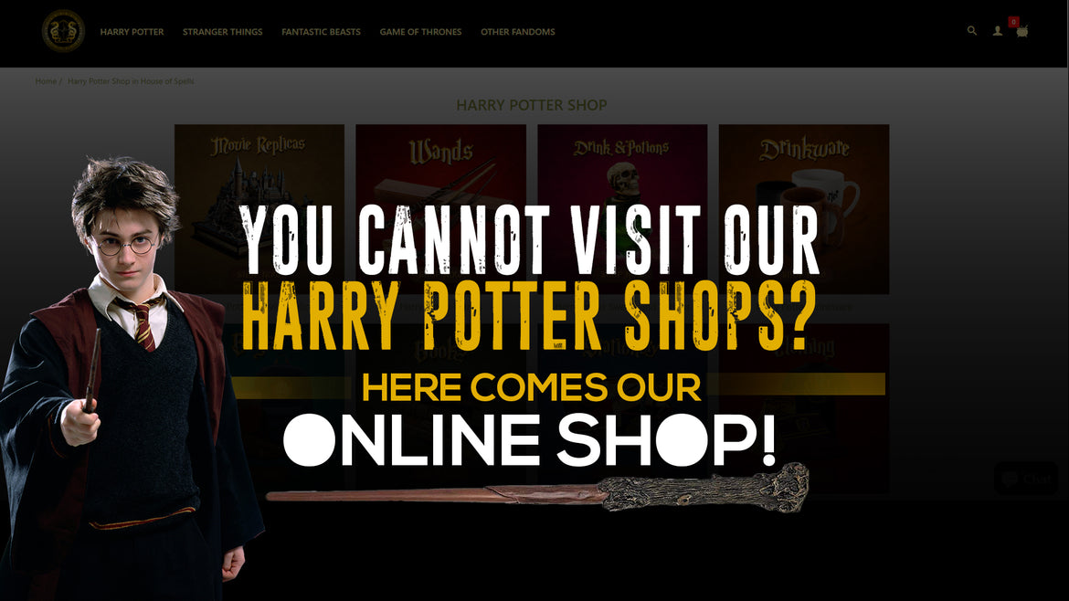 You Cannot Visit Our Harry Potter Shops? Here Comes Our Online Shop!