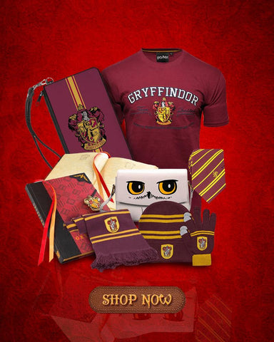 Harry Potter Accessories