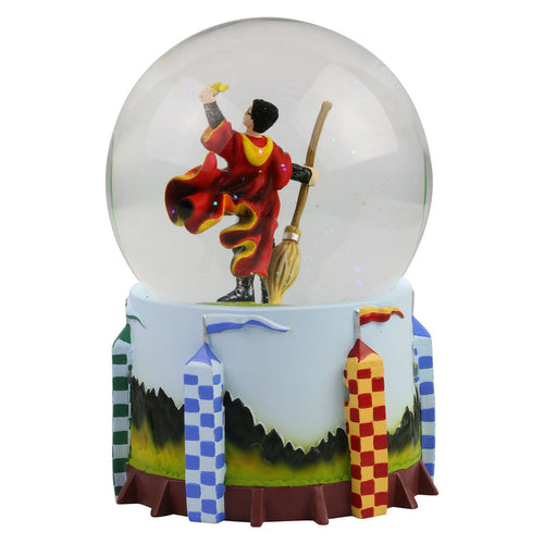 Harry Potter Quidditch Waterball