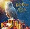 Hedwig Pop-up Christmas Advent Calendar