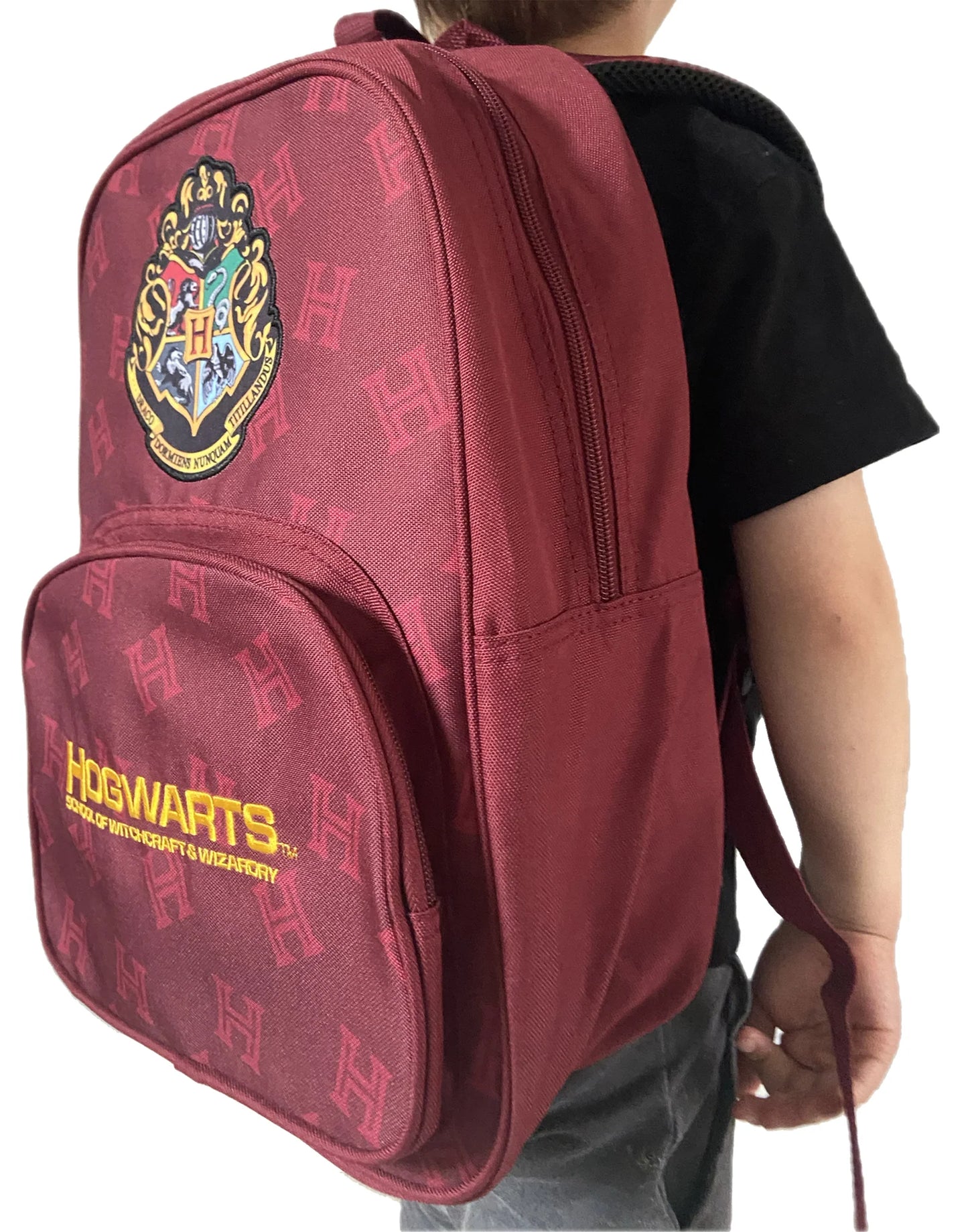 Harry Potter Hogwarts All Over Print Backpack