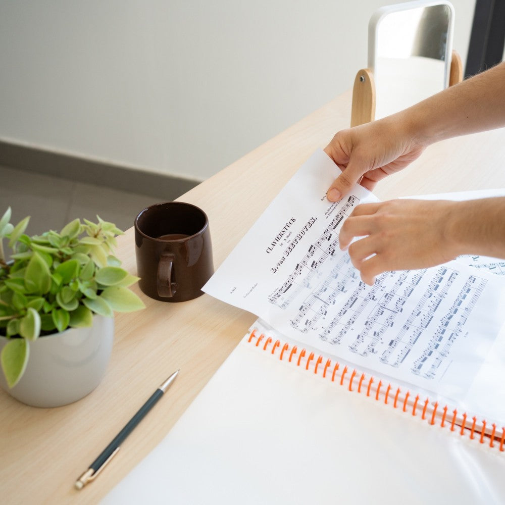 Dragon Ball A4 Presentation Display Book