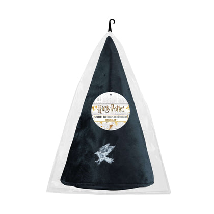 Ravenclaw Student Hat - House Of Spells