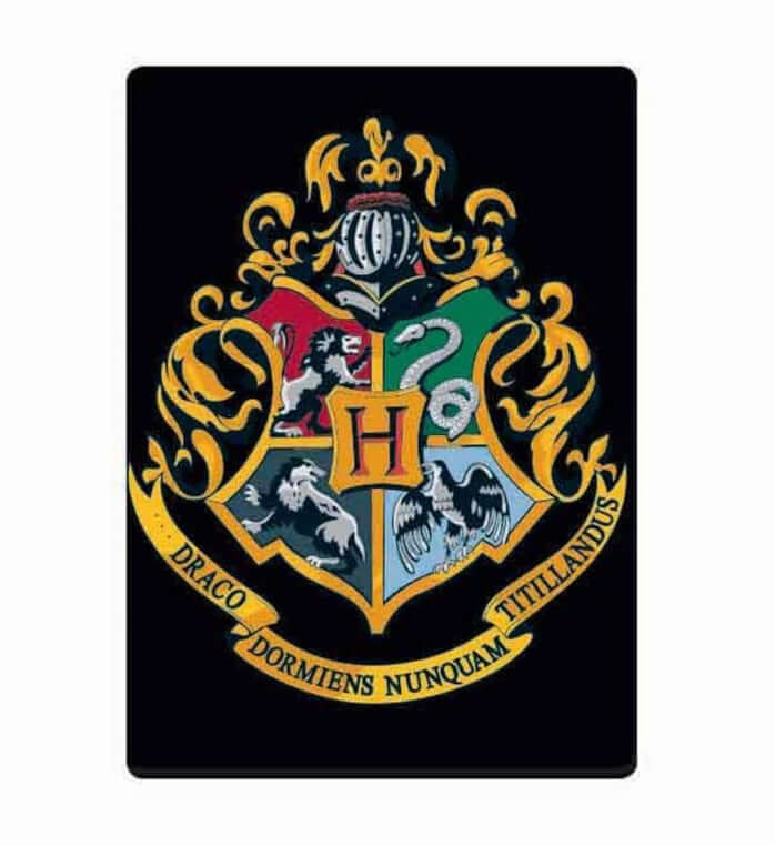 Harry Potter Metal Magnet - Hogwarts