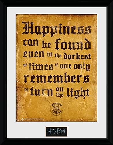 HARRY POTTER Framed Print  Happiness can be