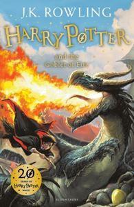 Harry Potter and The Goblet of Fire Children Paperback