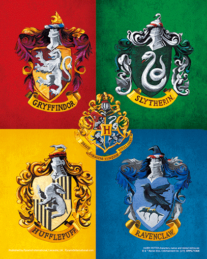 Harry Potter Colourful Crests 3D Frame