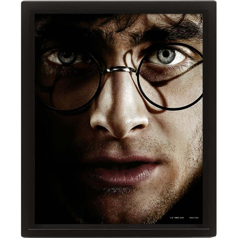 Harry Potter Harry VS Voldemort 3D Frame