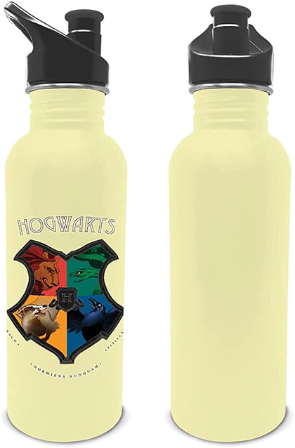 Harry Potter Hogwarts Canteen Bottle