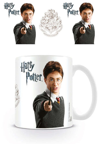Harry Potter Mug(Forest Forbidden)