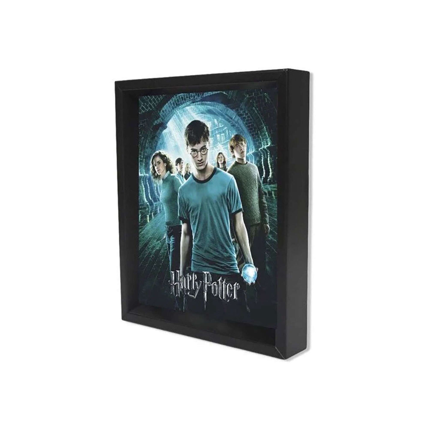 Harry Potter Order Of The Phoenix 3D Frame