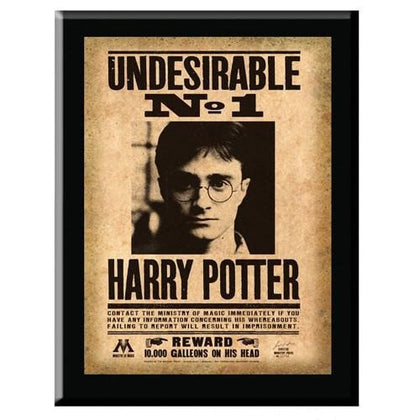 Harry Potter Undesirable Plaque