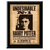 Harry Potter Undesirable Plaque