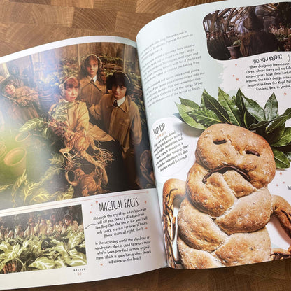 HARRY POTTER OFFICIAL BAKING BOOK- Harry Potter Fandom