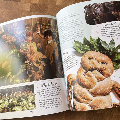 HARRY POTTER OFFICIAL BAKING BOOK