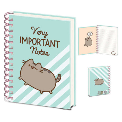 PUSHEEN VERY IMPORTANT NOTES