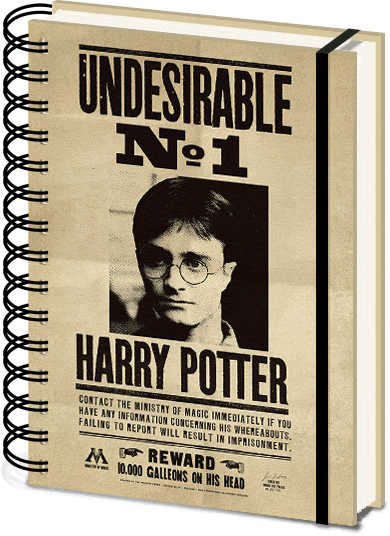 Harry Potter Sirius & Harry 3D Wiro Notebook- Fandom Shop