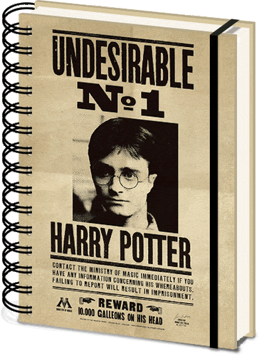 Harry Potter Sirius & Harry 3D Wiro Notebook