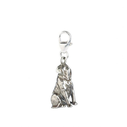Hagrid's Dog Fang Sterling Silver Clip on Charm