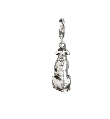 Hagrid's Dog Fang Sterling Silver Clip on Charm- Harry Potter Shop