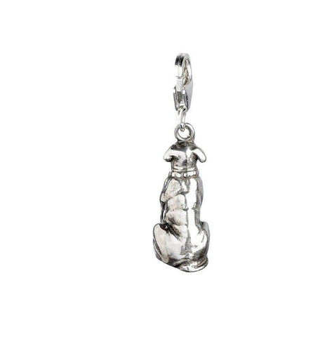Hagrid's Dog Fang Sterling Silver Clip on Charm
