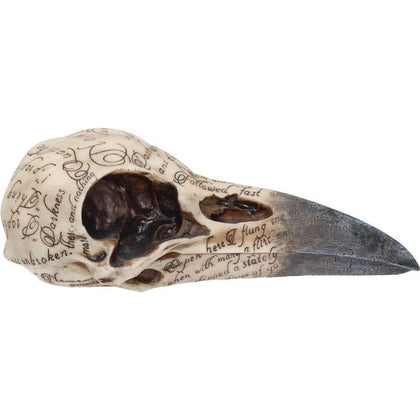 Edgar Raven Skull