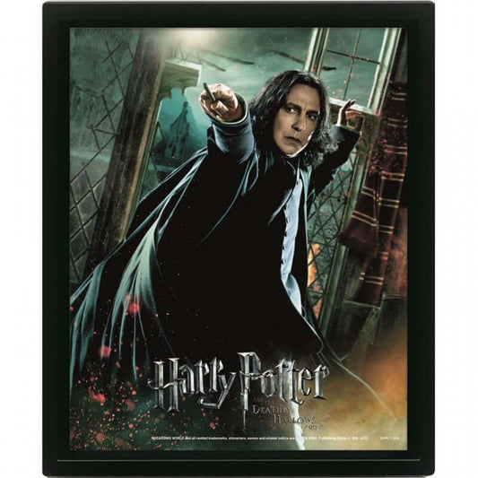 Snape Frame Professor Severus Snape Merchandise | Official Licensed