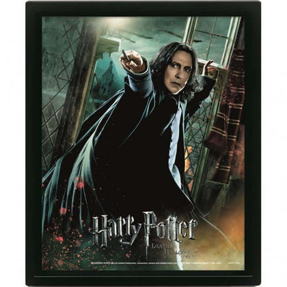 Harry Potter Deathly Hallows Snape 3D Frame