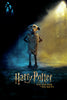 Harry Potter - Dobby Poster Card