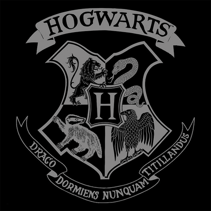 Harry Potter Hogwarts Messenger Bag- House of Spells