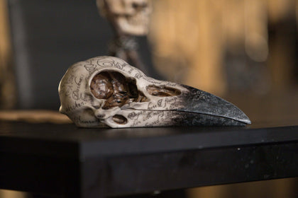 Official Edgar Raven Skull at the best quality and price at House Of Spells- Fandom Collectable Shop. Get Your Edgar Raven Skull now with 15% discount using code FANDOM at Checkout. www.houseofspells.co.uk.