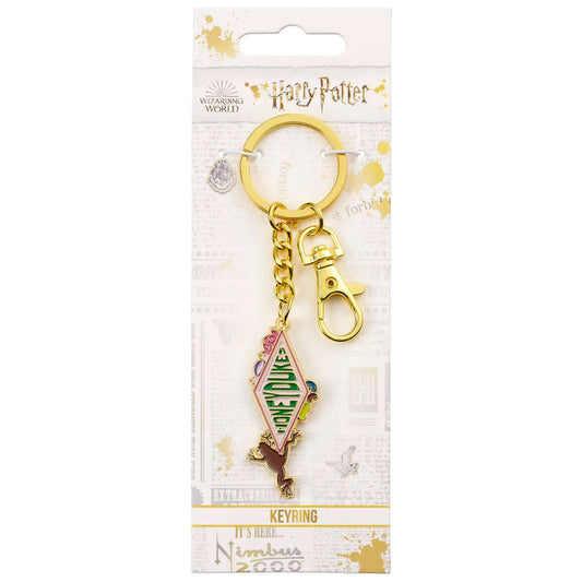 Harry Potter Honey Duke Keyring