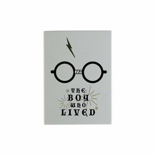 Harry Potter Metal Magnet (The Boy Who Lived)