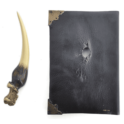 Basilisk Fang And Tom Riddle Diary Sculpture- Harry Potter merchandise Uk