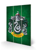 Slytherin House Crest Wooden Print
