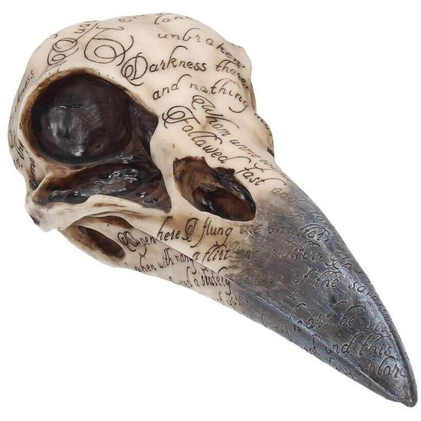 Official Edgar Raven Skull at the best quality and price at House Of Spells- Fandom Collectable Shop. Get Your Edgar Raven Skull now with 15% discount using code FANDOM at Checkout. www.houseofspells.co.uk.