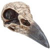Edgar Raven Skull