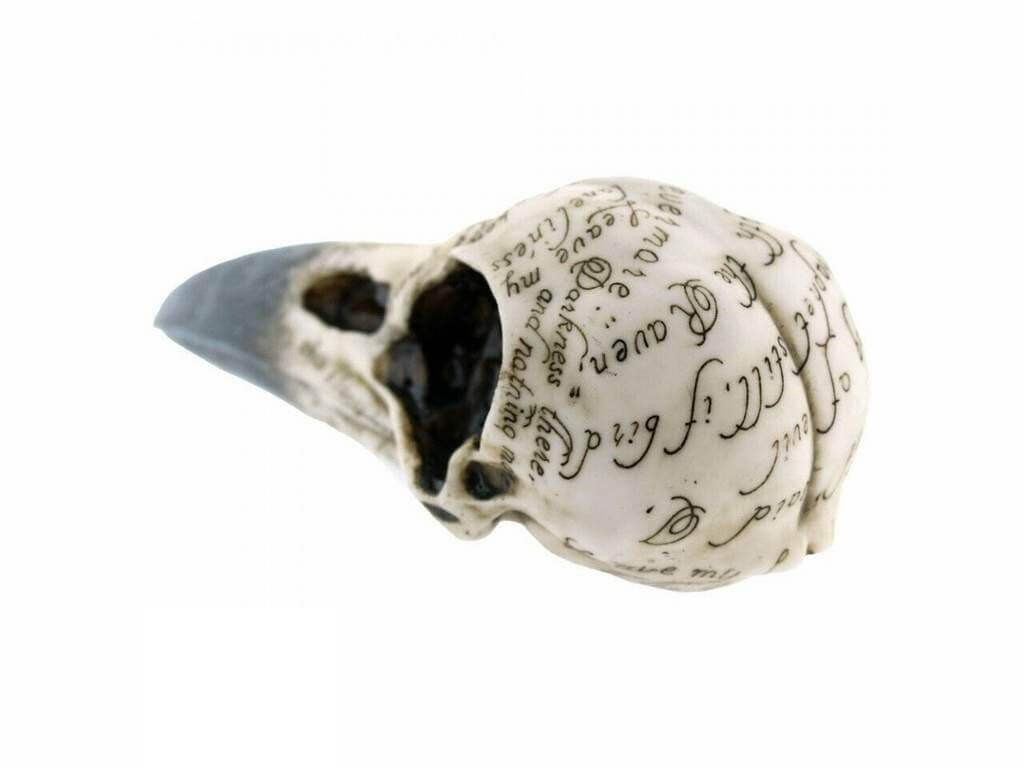 Official Edgar Raven Skull at the best quality and price at House Of Spells- Fandom Collectable Shop. Get Your Edgar Raven Skull now with 15% discount using code FANDOM at Checkout. www.houseofspells.co.uk.